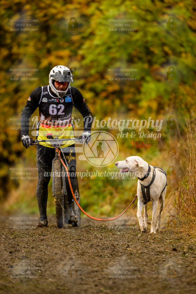 MompixPhotography_ICF_WC_2024_SA_DS_-168 | PayLife