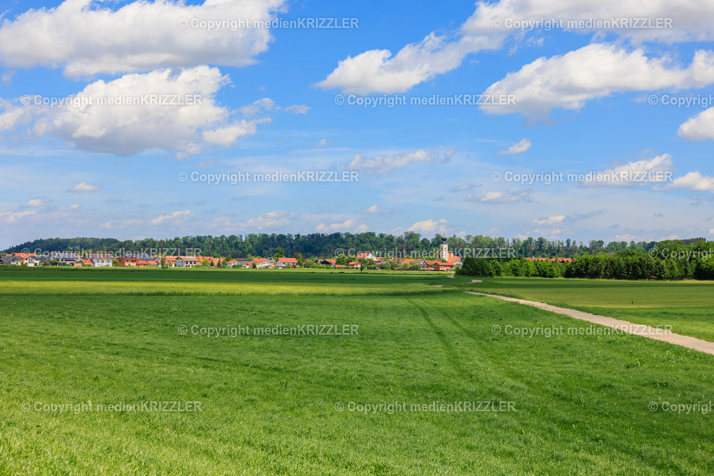 Tacherting | medienkrizzler - Realisiert mit Pictrs.com