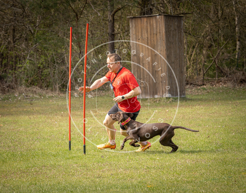 Pfotenfotografie_DV3A7101 | Hundefotografie, Tierfotograf, Pfotenfotografie, Fotoshooting Hund, Hunde Portrait, Hundesport, Hundeportraits, Heideshooting, Hunde, Sportfotograf, Hundefotograf, Turnierhundsport, THS,  - Realisiert mit Pictrs.com