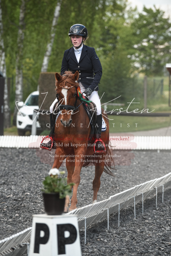 DSC_9104 | Pferde- und Turnierfotografie in Westsachsen. Pferdeportraits, Auftragszeichnungen und intuitive Kunst.