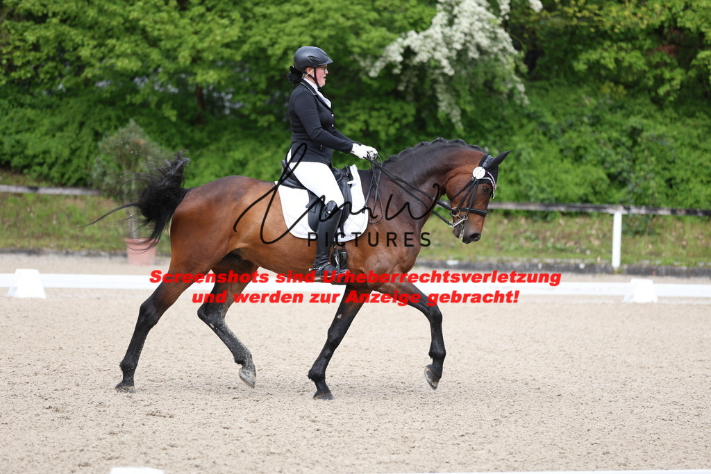 A40A0422 | lmwpictures - Realisiert mit Pictrs.com