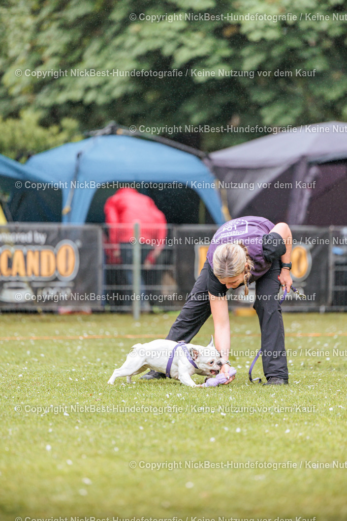 RO-Blumenthal-2026-Nickbest-Hundefotografie-0101 | Dein Hund! Dein Moment! Deine Erinnerungen! Hundefotografie in Bremen Blumenthal. Ich fange die besonderen Momente deines Vierbeiners ein – ob Indoor mit Blitzanlage oder in der freien Natur. Sicher dir dein Moment und dein Termin für eure Erinnerungen.