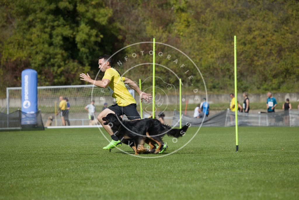 0L8A6202 | Hundefotografie, Tierfotograf, Pfotenfotografie, Fotoshooting Hund, Hunde Portrait, Hundesport, Hundeportraits, Heideshooting, Hunde, Sportfotograf, Hundefotograf, Turnierhundsport, THS,  - Realisiert mit Pictrs.com