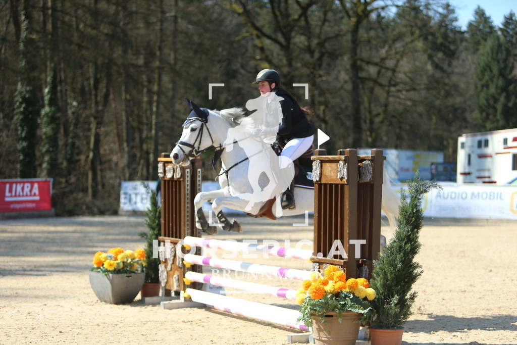 DL2Q2949 | Willkommen bei Brunnmayr - Design & Fotografie – Ihrem Spezialisten für Reitturniere und Pferdeveranstaltungen in Oberösterreich, Salzburg und Bayern! Seit über 17 Jahren sind wir leidenschaftlich dabei.