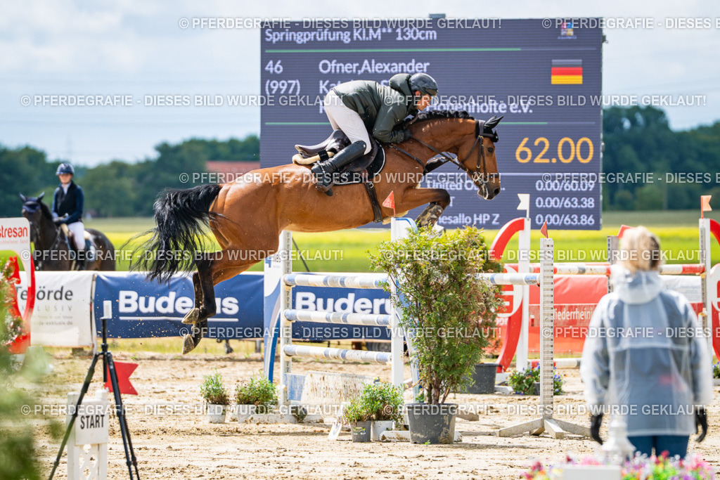 DSC04782 | Pferdegrafie