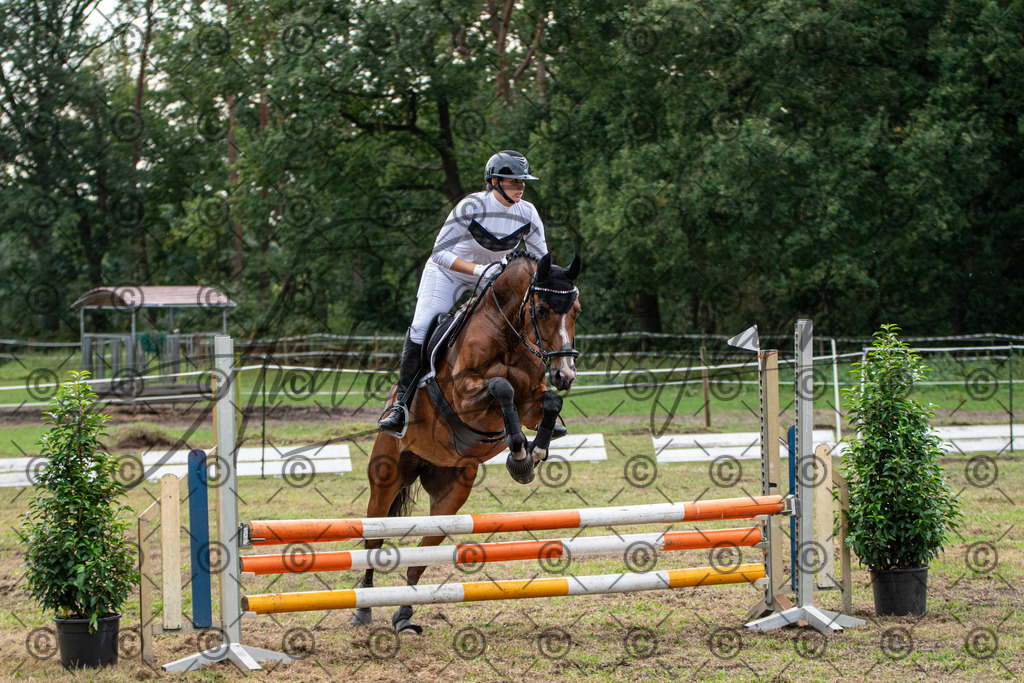 SHT_7619 | andre_photographic