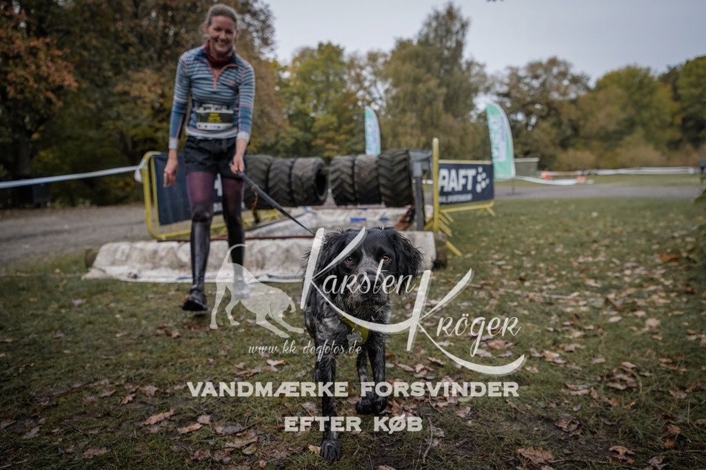 1700_ZZ94714 | kk-dogfotos