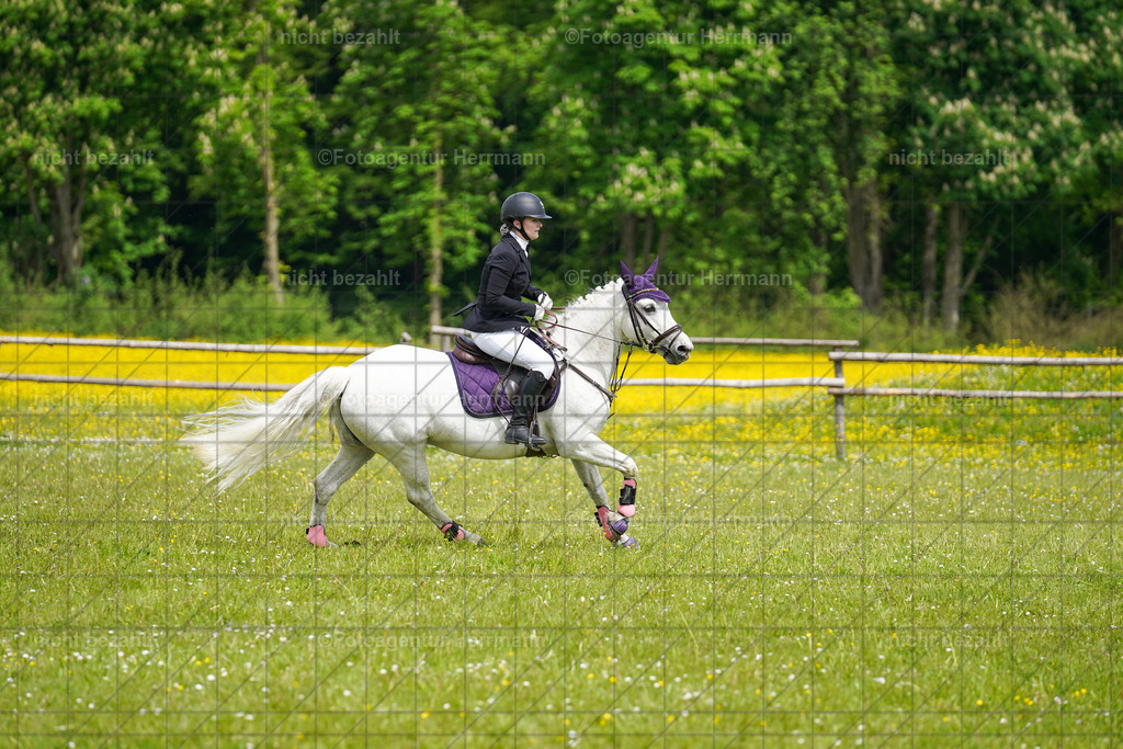20230521-FAH06209 | Frühjahrsturnier, Landsberg am Lech, 2023, Reitclub Landsberg, Turnierbilder, Fotos Turnier Landsberg, Fotoagentur Herrmann, Turnierfotografen Bayern, Reitsport Fotograf, Pferde Fotograf