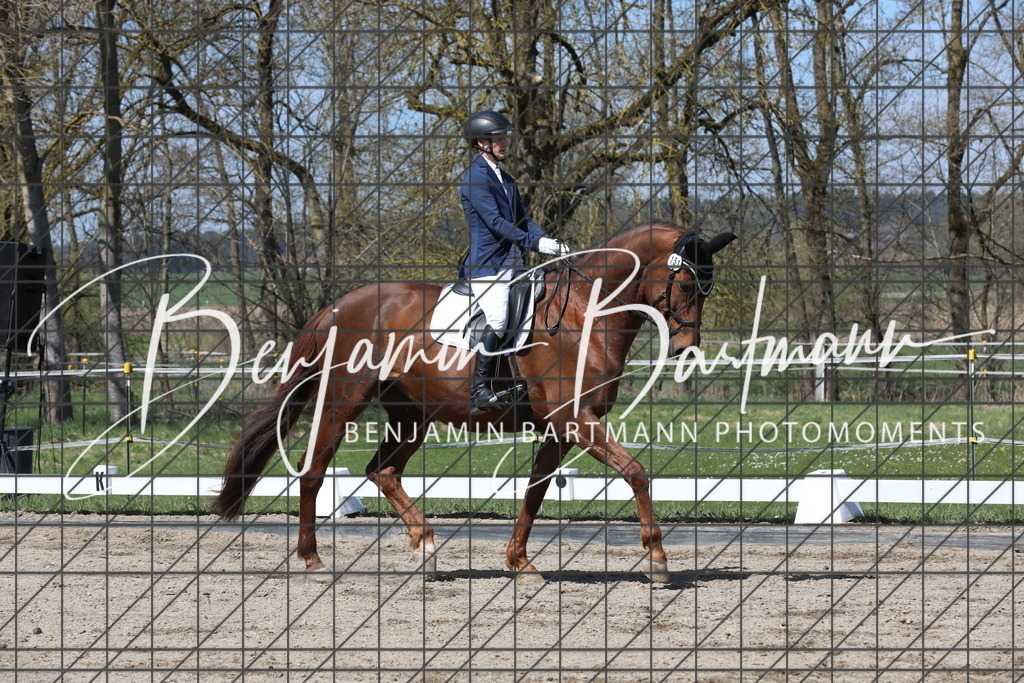 AZ2A5057 | Benjamin Bartmann Photomoments