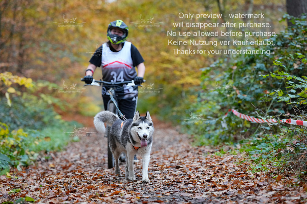 Scooter_So_110-5 | stephaniefillaphotographie - Realisiert mit Pictrs.com