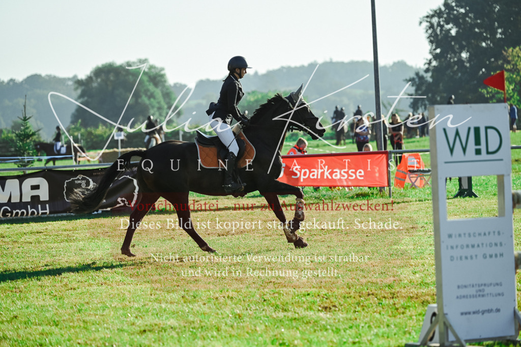 DSC_4423 | Pferde- und Turnierfotografie in Westsachsen. Pferdeportraits, Auftragszeichnungen und intuitive Kunst.