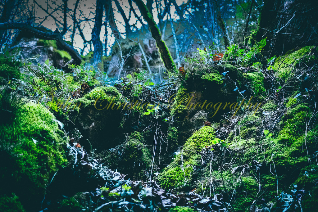 P 70 | Christian Vulin  - Realisiert mit Pictrs.com