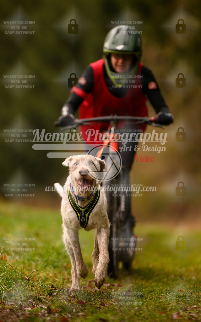 MompixPhotography_2SSTSSBW_2025_SO_Scooter-48 | PayLife