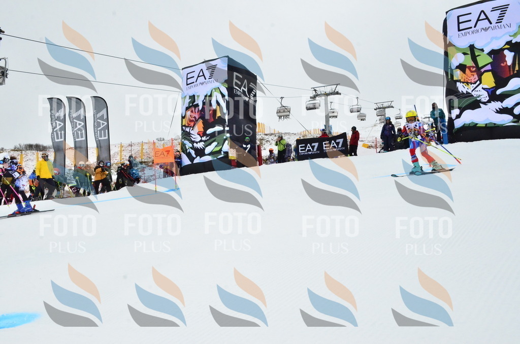 _ELE3337 | holidayphoto