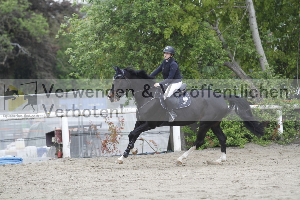 _MG_7541 | equestrian-live-com