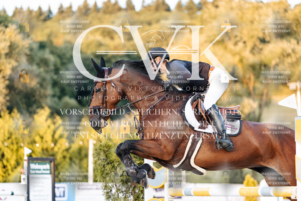CK901240 | Turnierfotografie Pferdefotografie Trier Rheinland-Pfalz Pferdesport Reitsport Tierfotografie Sportfotografie Pferdevideo Pferdevideografie Equestrianvideography equestrianphotography  - Realisiert mit Pictrs.com