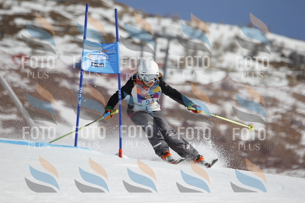 _U3G9104 | holidayphoto