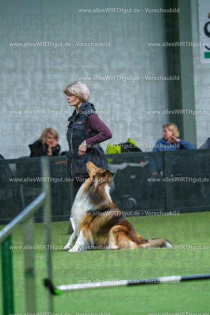 7R502093 | Professionelle Tierfotografie in Mönchengladbach von Daniel Wirth (allesWIRTHgut). Liebevolle & natürliche Bilder von Hunden & Katzen für unvergessliche Erinnerungen.