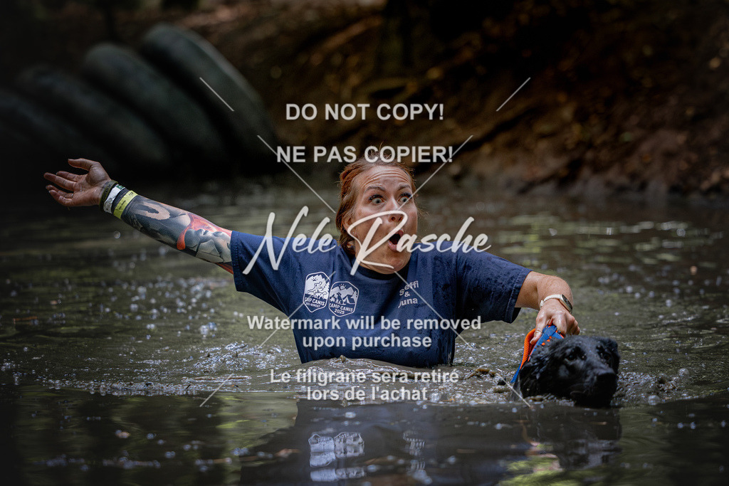 nelerasche_SaWingst1530-1600_294 | nelerasche
