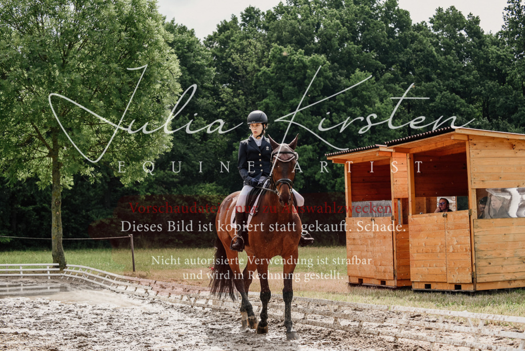 DSC_9594 | Pferde- und Turnierfotografie in Westsachsen. Pferdeportraits, Auftragszeichnungen und intuitive Kunst.