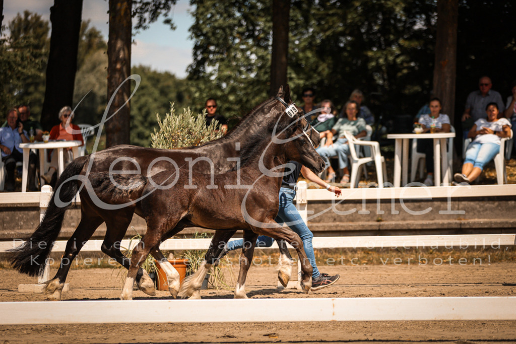 04.DoWP00090 | Leoni Ertmer Photography - Realisiert mit Pictrs.com