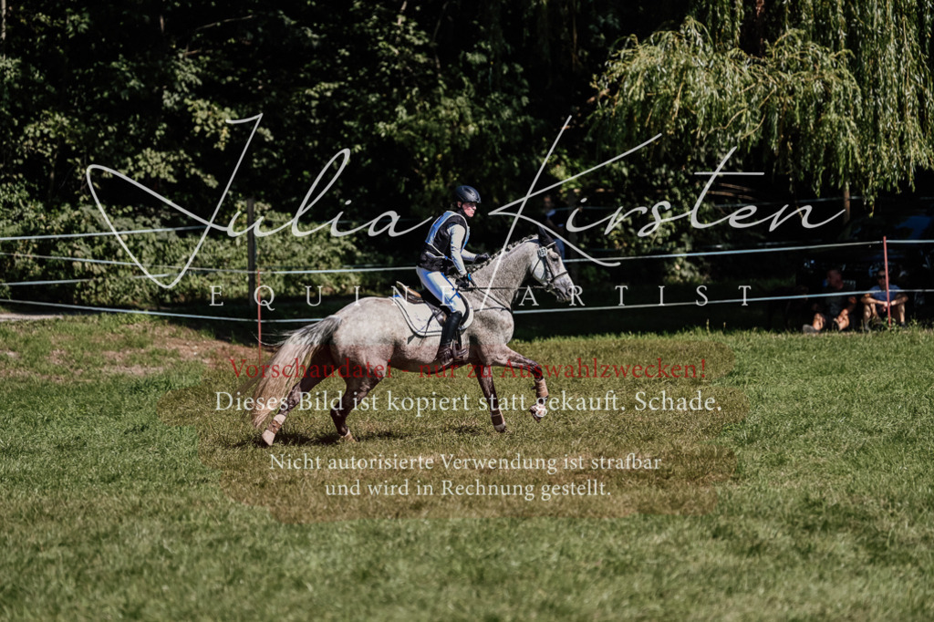 DSC_1414 | Pferde- und Turnierfotografie in Westsachsen. Pferdeportraits, Auftragszeichnungen und intuitive Kunst.