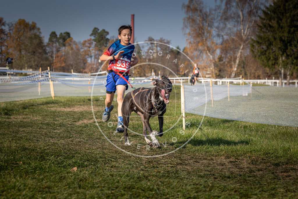 CaniXpix_0L8A8892 | Hundefotografie, Tierfotograf, Pfotenfotografie, Fotoshooting Hund, Hunde Portrait, Hundesport, Hundeportraits, Heideshooting, Hunde, Sportfotograf, Hundefotograf, Turnierhundsport, THS,  - Realisiert mit Pictrs.com