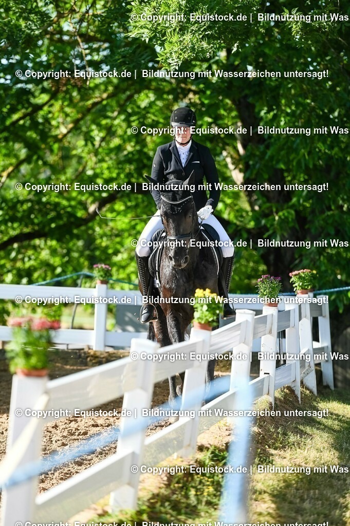 20230715_06_Dressurpferdeprfg. Kl.A_0015 | equistock