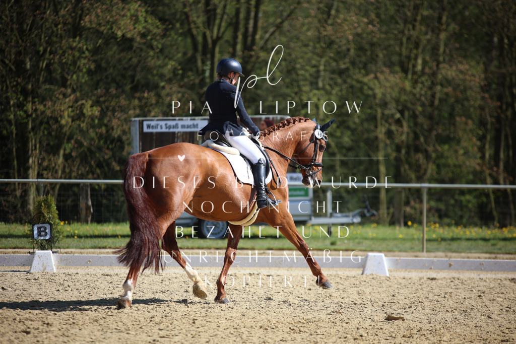 IMGT8294 | pl-fotografie