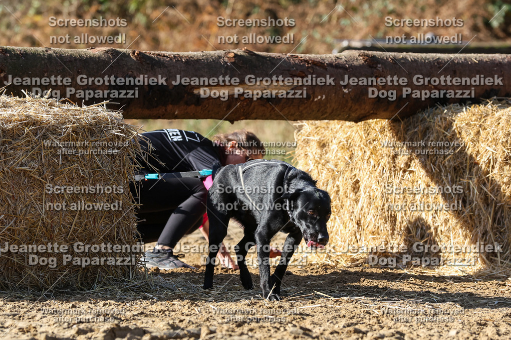 Dog Paparazzi - Strongdog 10-25-2933 | Dog Paparazzi Jeanette Grottendiek Fotografie & Videografie - Realisiert mit Pictrs.com