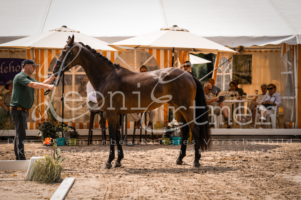 2. Fr00041 | Leoni Ertmer Photography - Realisiert mit Pictrs.com