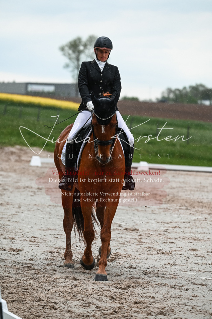 DSC_4420 | Pferde- und Turnierfotografie in Westsachsen. Pferdeportraits, Auftragszeichnungen und intuitive Kunst.