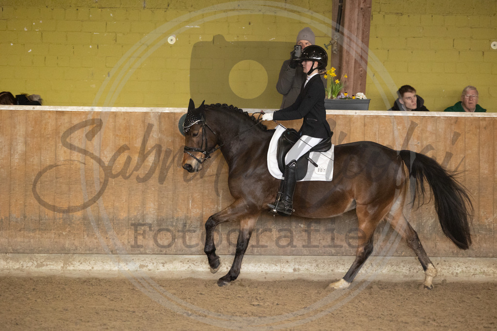 994A9011 | sabrinanicolaifotografie - Realisiert mit Pictrs.com