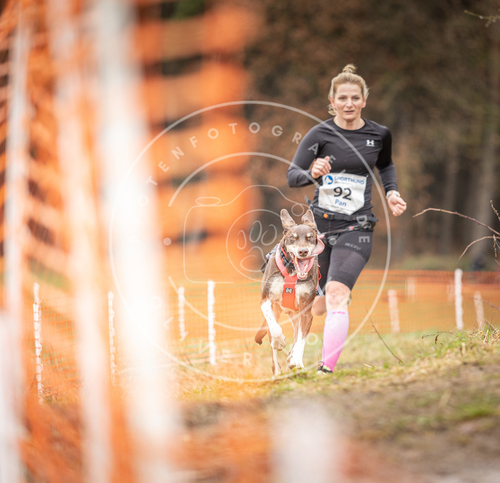 DV3A0417 | Hundefotografie, Tierfotograf, Pfotenfotografie, Fotoshooting Hund, Hunde Portrait, Hundesport, Hundeportraits, Heideshooting, Hunde, Sportfotograf, Hundefotograf, Turnierhundsport, THS,  - Realisiert mit Pictrs.com