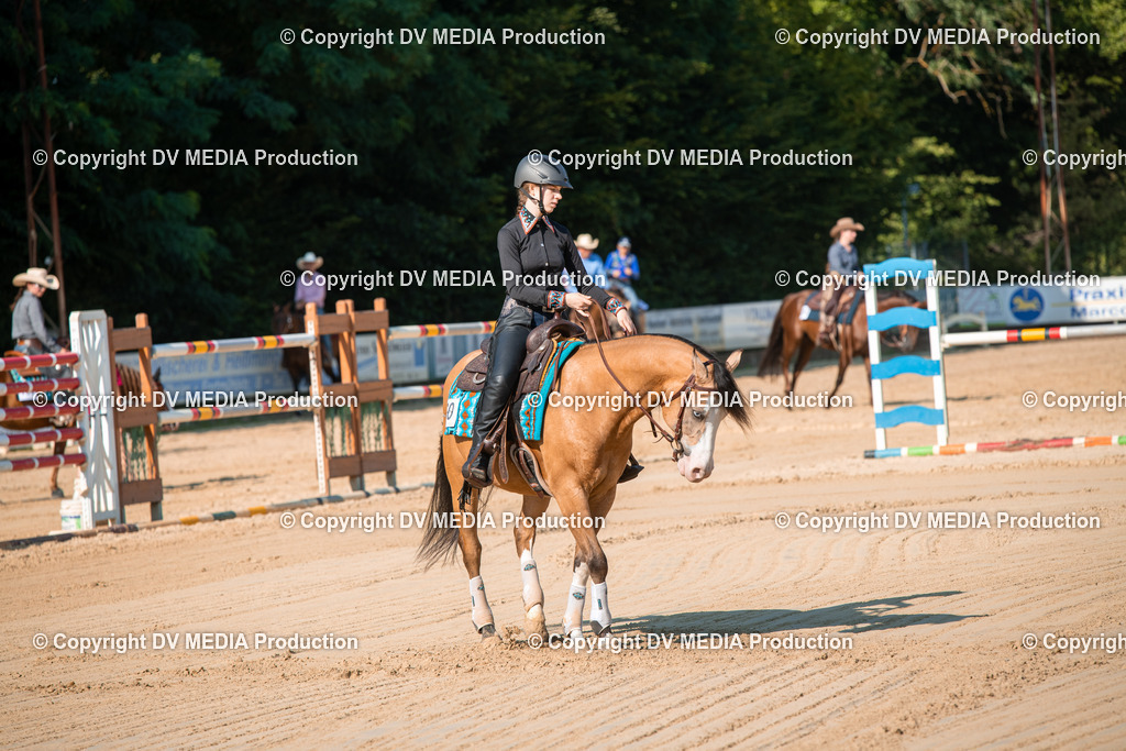 ZS2_8809 | dv-media-shop - Realisiert mit Pictrs.com