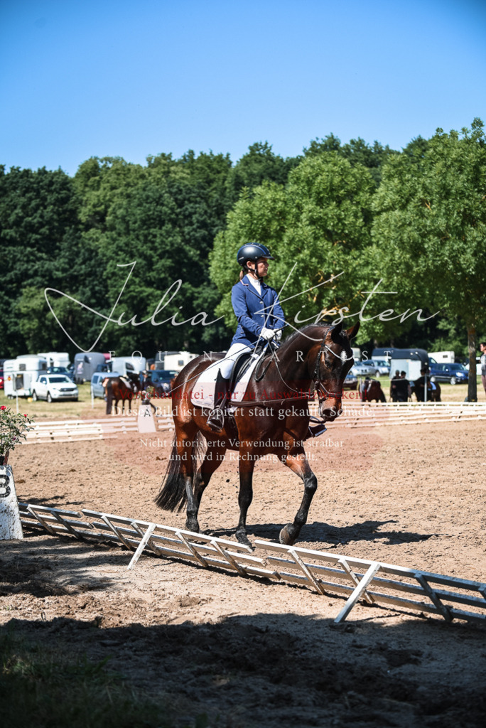DSC_3358 | Pferde- und Turnierfotografie in Westsachsen. Pferdeportraits, Auftragszeichnungen und intuitive Kunst.