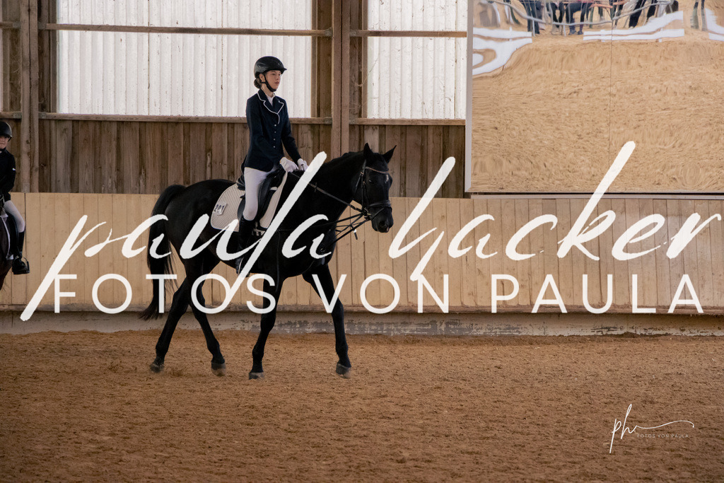IMG_4712 | Erleben Sie dynamische Sport- und emotionale Tierfotografie in Süddeutschland mit Fotos von Paula. Spezialisiert auf Pferde- und Hundefotografie sowie Sportevents. Kontaktieren Sie mich für einzigartige und ausdrucksstarke Bilder Ihrer besonderen Momente. - Realisiert mit Pictrs.com
