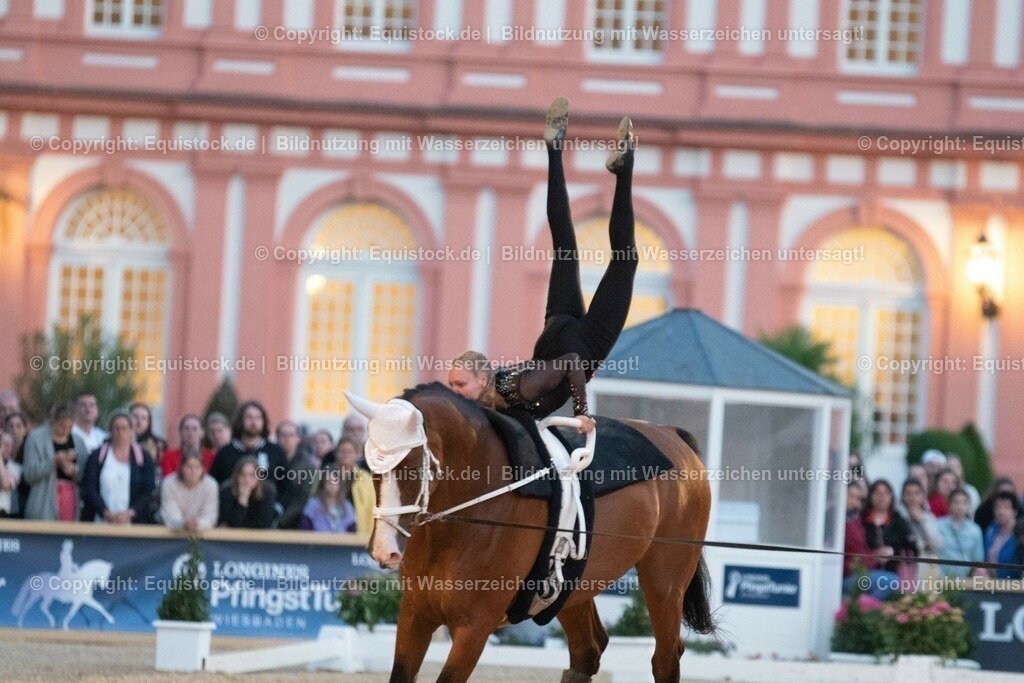 20230527_Voltigieren_NASPA_Flutlicht_0442 | equistock
