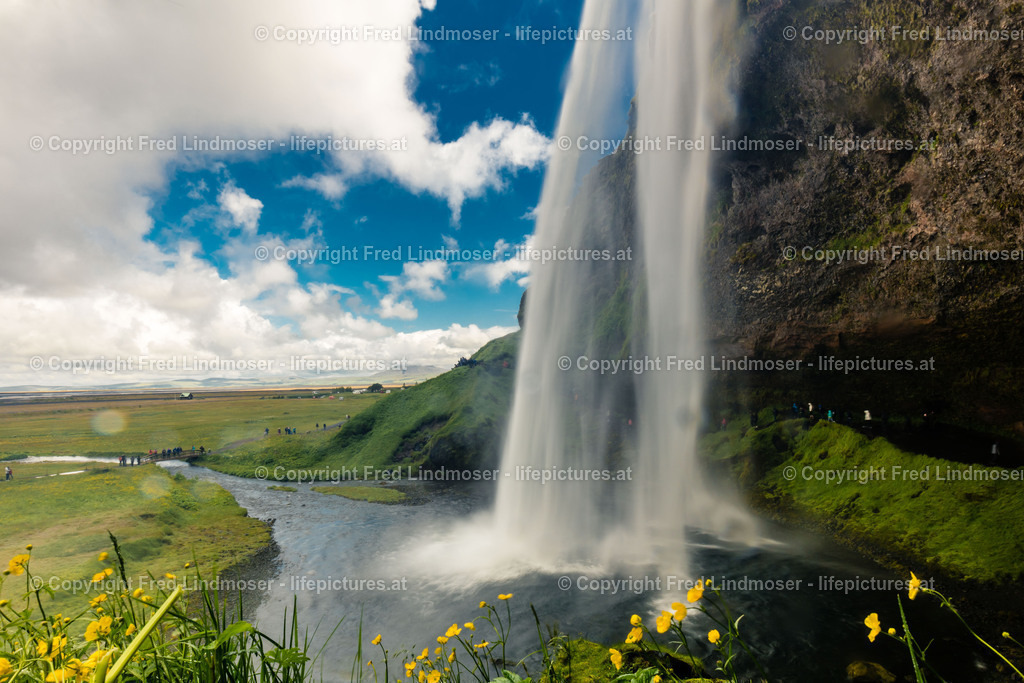 Island Gent Reykjavik-7808 | Fotos und Fotoprodukte - Realisiert mit Pictrs.com