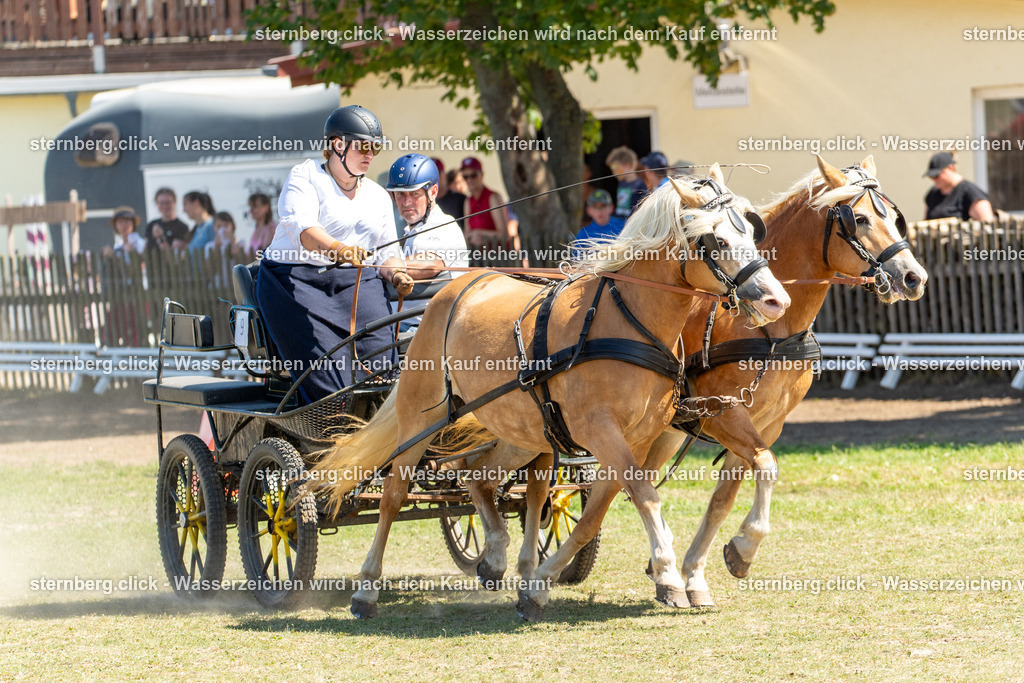 2026-08-09_12-18-26_WBO_Pulsnitz | sternberg.click - Realisiert mit Pictrs.com