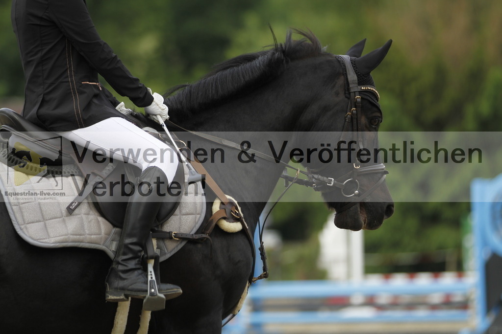 _MG_4231 | equestrian-live-com