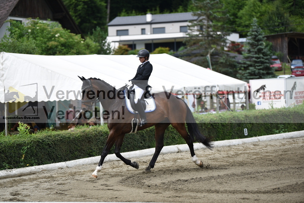 DSC_4454 | equestrian-live-com