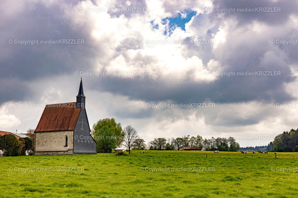 _J3A0554 | medienkrizzler - Realisiert mit Pictrs.com