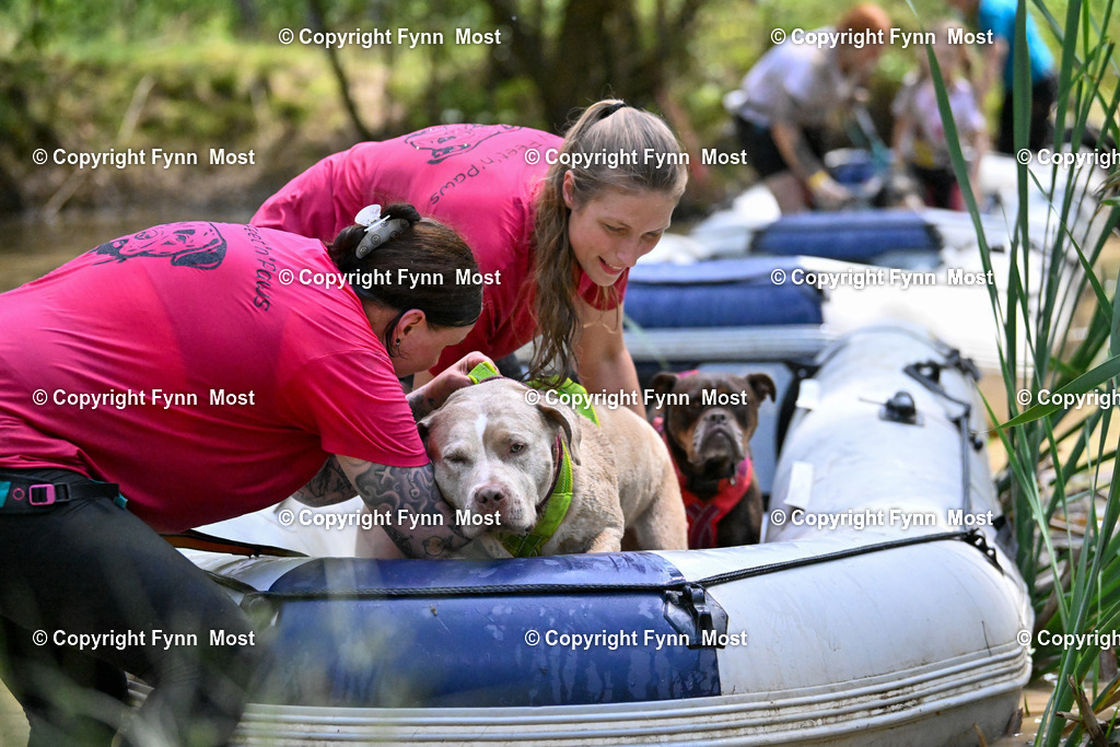 DSC_6314 | Hallo und herzlich Willkommen auf meiner Shop-Seite Fynn Most.

Ich wünsche Dir viel Spaß beim stöbern durch die Bilder, wenn Du Fragen hast oder Bilder vermisst, kannst du mir gerne eine Nachricht schreiben. - Realisiert mit Pictrs.com