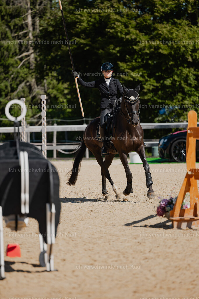 Leonie24_FHC2025-33 | working equitationturnier fotograf videograf stoibphotography marixx film working equitation deutschland reitsport turnierfotografie eventfotografie equestrian events
