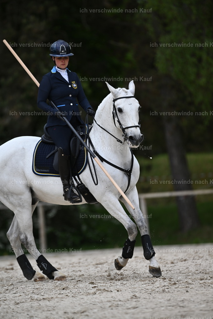 PI26_ST_Sara_Landvogt226_4219.JPG | working equitationturnier fotograf videograf stoibphotography marixx film working equitation deutschland reitsport turnierfotografie eventfotografie equestrian events