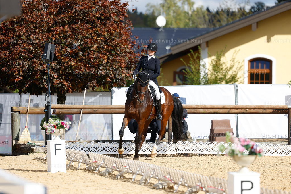 09_2-174-DRESSUR  S_  -StoibPH-5775 | working equitationturnier fotograf videograf stoibphotography marixx film working equitation deutschland reitsport turnierfotografie eventfotografie equestrian events