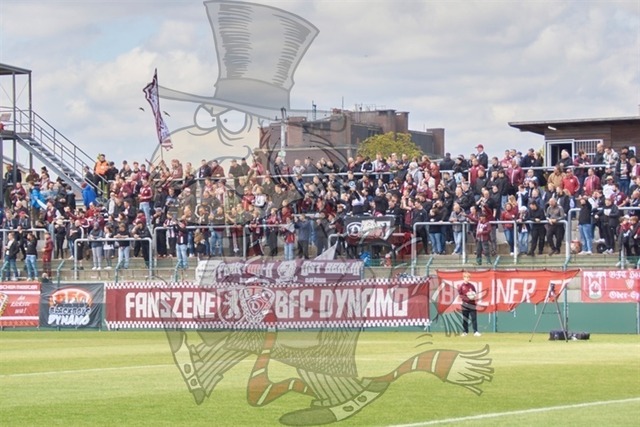BFC Dynamo vs. BSG Chemie Leipzig  003 | mythos-online-redaktion