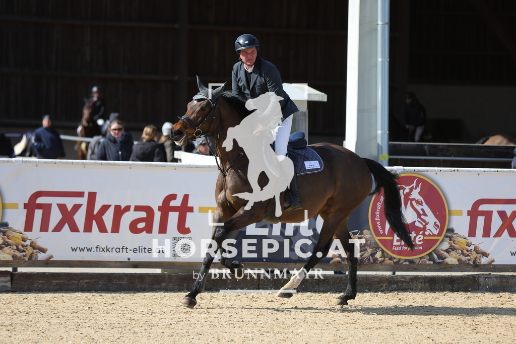 0P6A1711 | Willkommen bei Brunnmayr - Design & Fotografie – Ihrem Spezialisten für Reitturniere und Pferdeveranstaltungen in Oberösterreich, Salzburg und Bayern! Seit über 17 Jahren sind wir leidenschaftlich dabei.