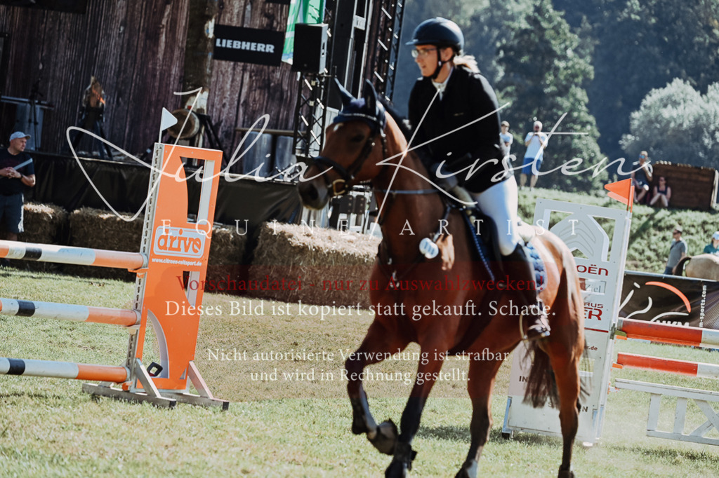 DSC_5788 | Pferde- und Turnierfotografie in Westsachsen. Pferdeportraits, Auftragszeichnungen und intuitive Kunst.